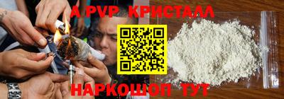 PSILOCYBIN Ирбит