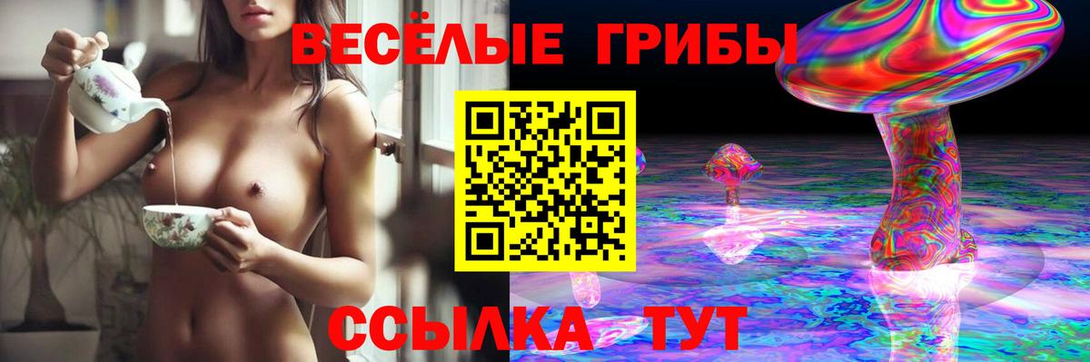 Волоколамск  Псилоцибиновые грибы мухоморы  Вход с VPN 